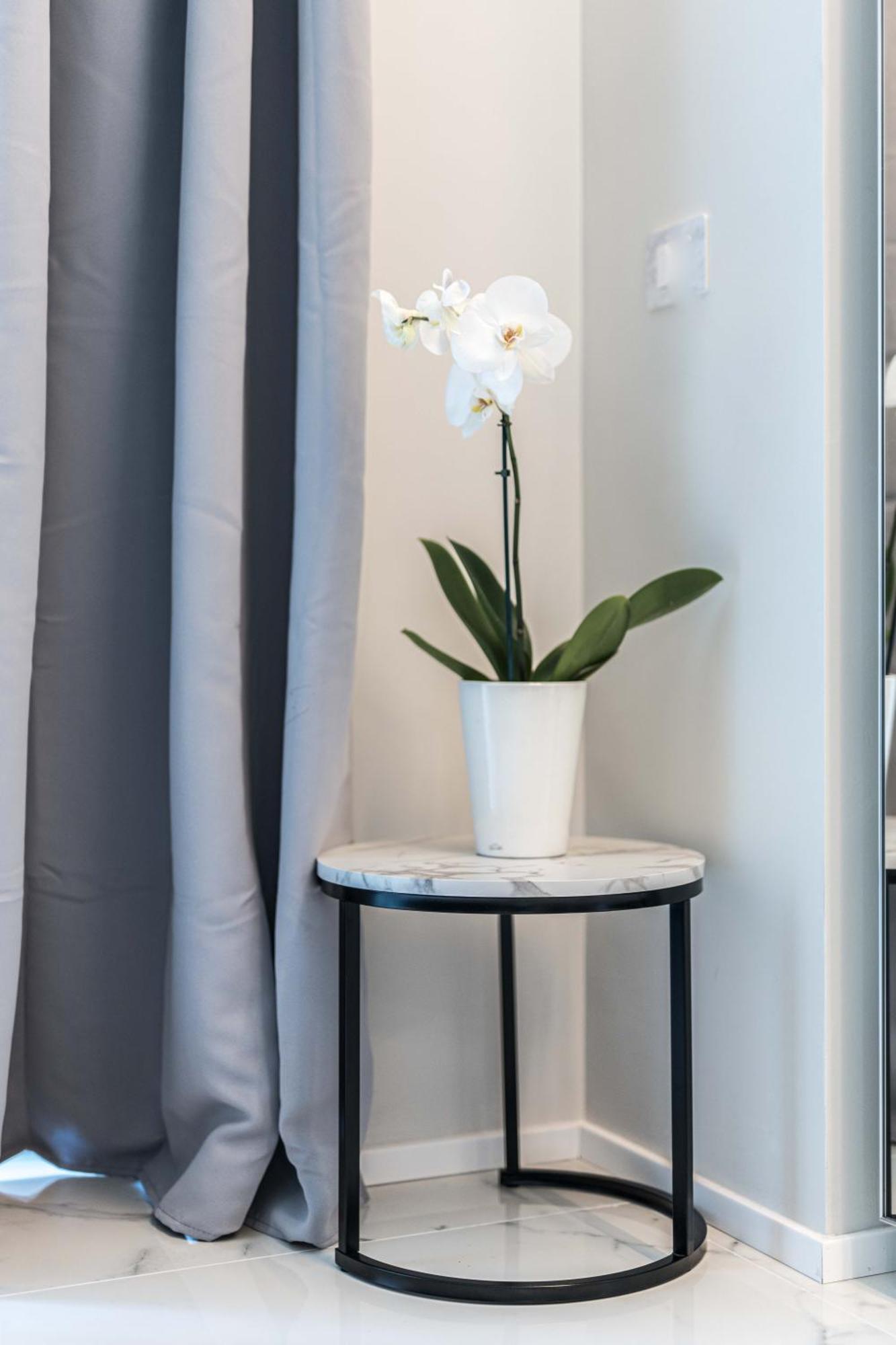 Moscova Luxury New Suite 밀라노 외부 사진